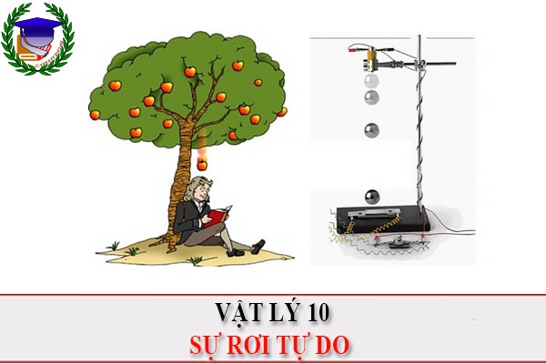 [Vật Lí 10] - KNTT - Sự rơi tự do